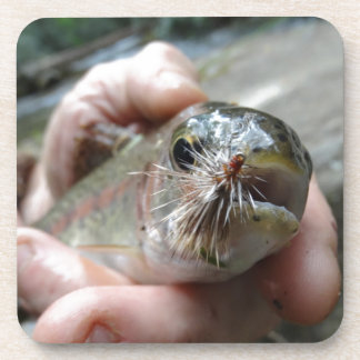 Porta-copo Foto do Rainbow Trout