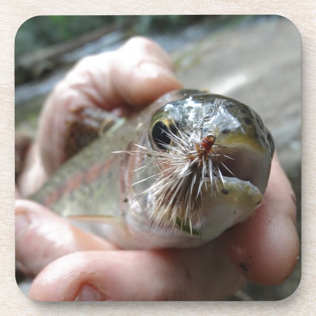 Porta-copo Foto do Rainbow Trout (Frente)