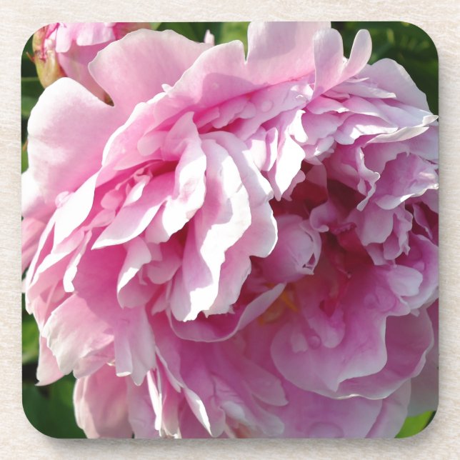 Porta-copo Foto rosa de Peony caseiro caseiro caseiro floral (Frente)