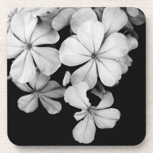 Porta-copo Fotografia de Flores em Preto e Branco