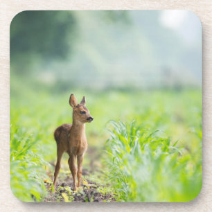 Porta-copo Fotografia de Grass Nature, um Bebê Gelado
