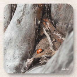 Porta-copo fotografia de um joaninha