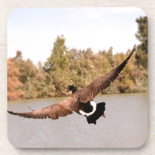Porta-copo fotografia do pato voador sobre a água
