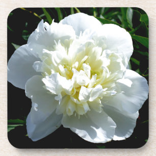 Porta-copo Fotografia floral branca de pénia branca Elegante