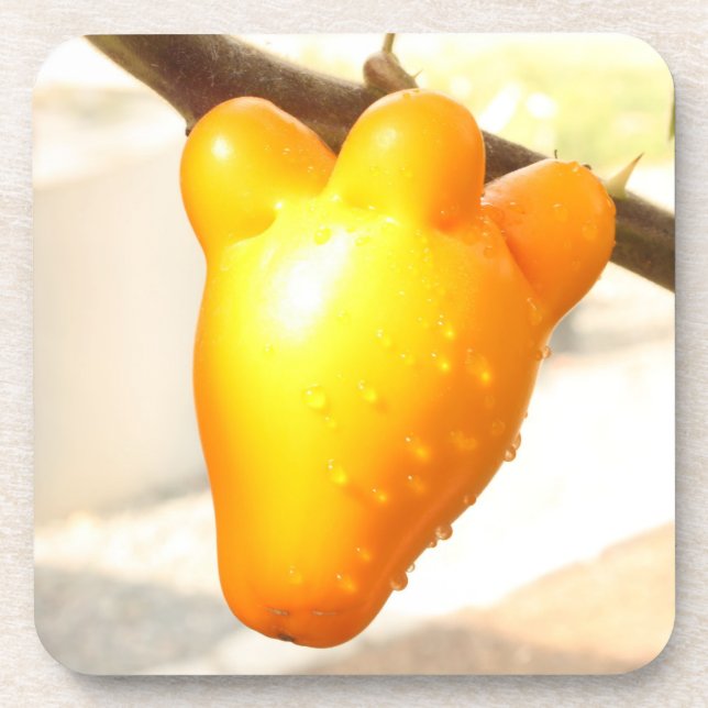 Porta-copo Fox Face Fruta (Frente)