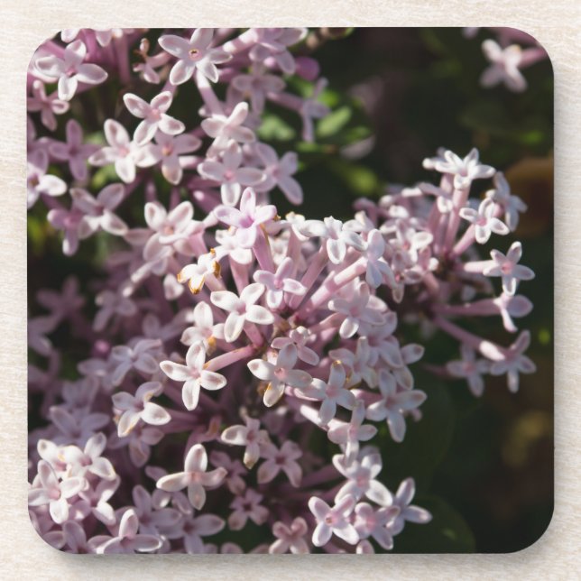 Porta-copo Fragrante Lilac (Frente)