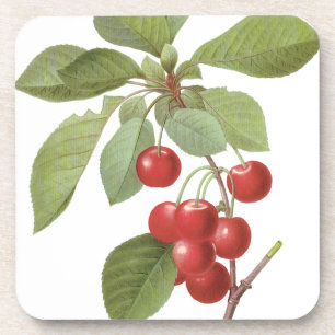 Porta-copo Fruta Antiga Cereja Comida, Cerejas por Redoute