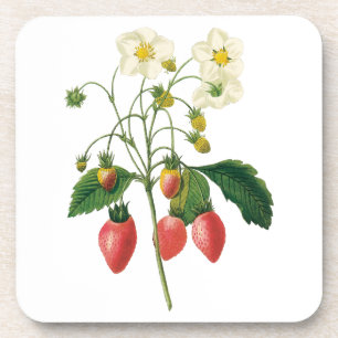 Porta-copo Frutas Bagas Frutas Vermelhas Morangos Vintage por