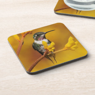 Porta-copo Fulgor dourado