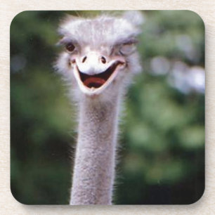 Porta-copo Funny Ostrich