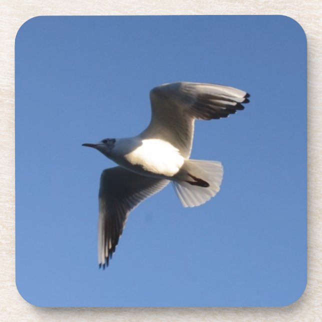 Porta-copo Gaivota-pequena (Frente)