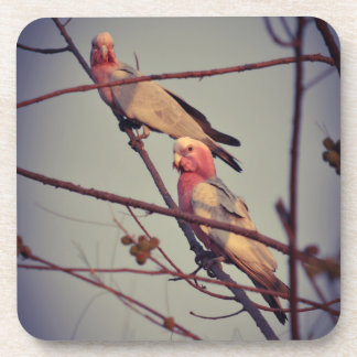 Porta-copo Galah Pássaros na árvore 1