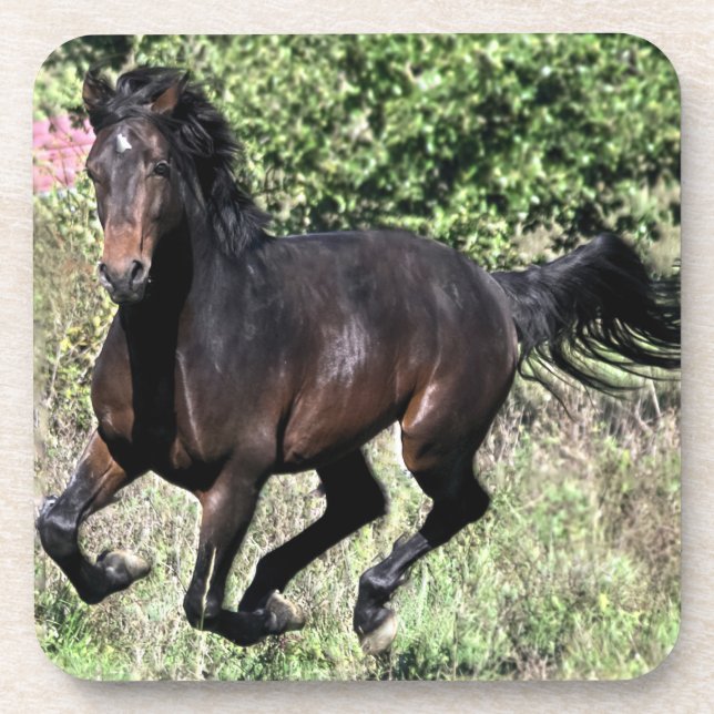 Porta-copo Galloping Chestnut Horse (Frente)