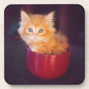 Porta-copo Gatinho alaranjado em uma caneca vermelha