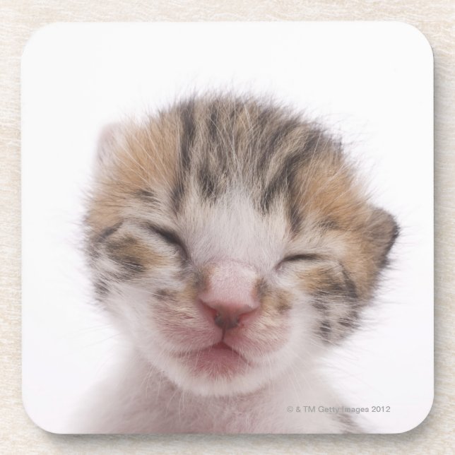Porta-copo Gatinho do sono (Frente)