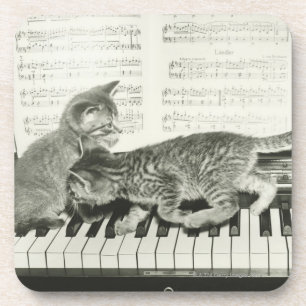 Porta-copo Gatinho dois que joga no teclado de piano, (B&W)