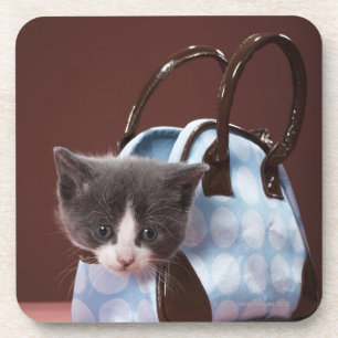 Porta-copo Gatinho na bolsa