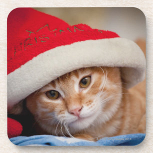 Porta-copo Gatinho pequeno no chapéu vermelho do Natal