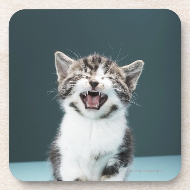 Porta-copo Gatinho que meowing (Frente)