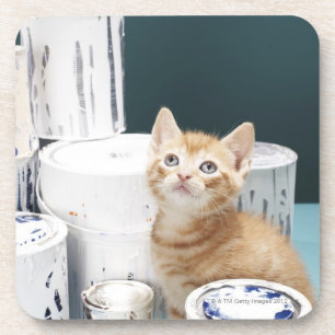 Porta-copo Gatinho que senta-se entre latas da pintura