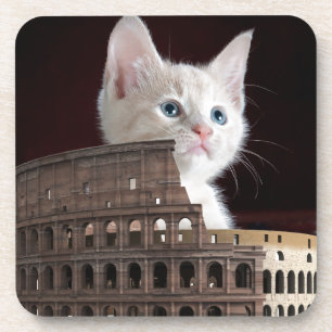 Porta-copo gatinho romano