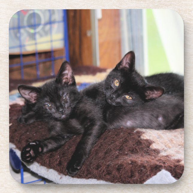 Porta-copo Gatinhos (Frente)