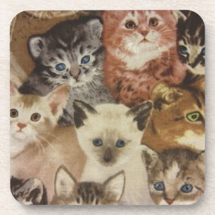 Porta-copo Gatinhos