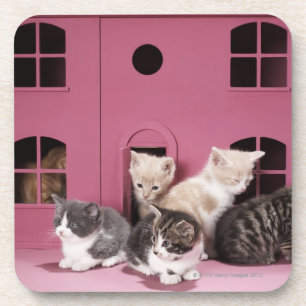 Porta-copo Gatinhos na casa de boneca