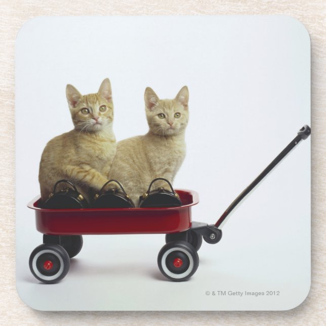 Porta-copo Gatinhos no vagão (Frente)
