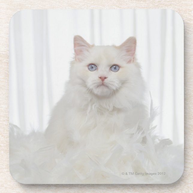 Porta-copo Gato branco com penas (Frente)