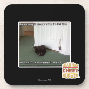 Porta-copo Gato do porão, desorientado leve