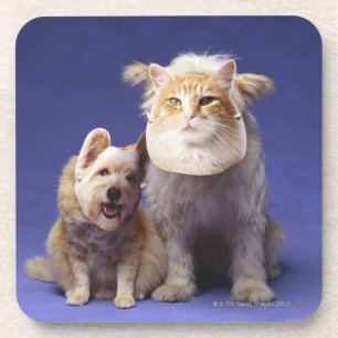 Porta-copo Gato e cão com máscaras