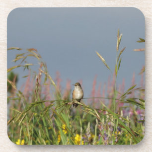 Porta-copo Gato-gordo