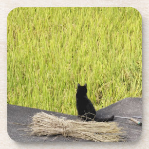 Porta-copo Gato preto na almofada de arroz