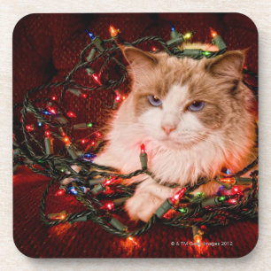 Porta-copo Gato que senta-se em uma bola de luzes de Natal