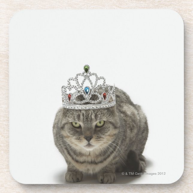 Porta-copo Gato que veste uma tiara (Frente)