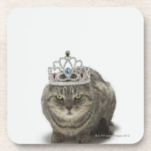 Porta-copo Gato que veste uma tiara