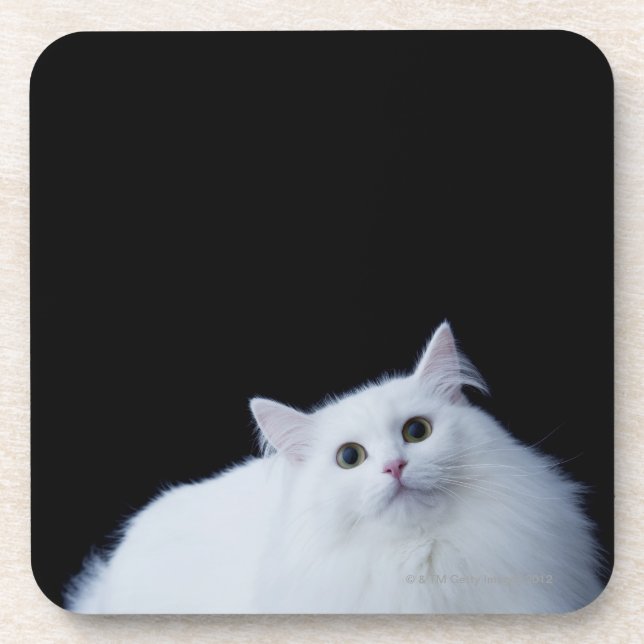 Porta-copo Gato Siberian (Frente)