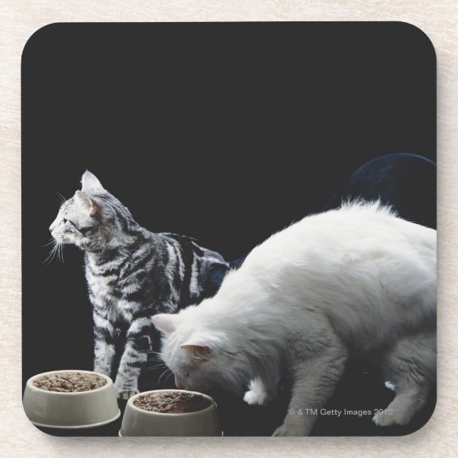 Porta-copo Gatos com a bacia de comida (Frente)
