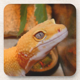 Porta-copo Gecko Leopardo Amarelo
