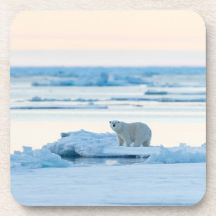 Porta-copo Gelo e neve Polar Bear Iceberg Noruega