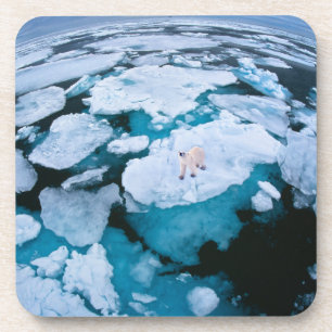 Porta-copo Gelo e neve   Urso Polar, Oceano Ártico, Svalbard