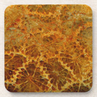 Gemstone natural de jaspe de coral fossilizado