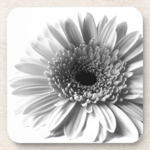 Porta-copo Gerbera