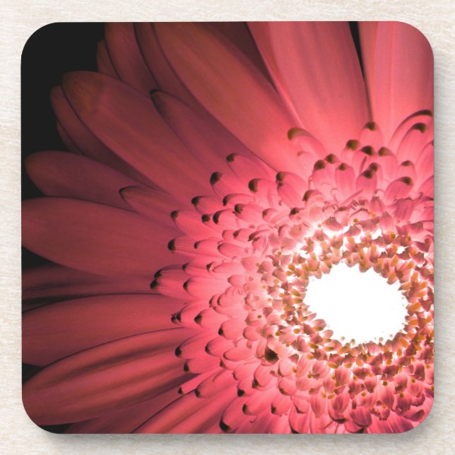 Porta-copo Gerbera Daisy (Frente)