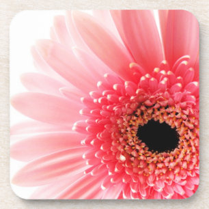Porta-copo Gerbera Daisy Poster
