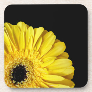 Porta-copo Gerbera Flower