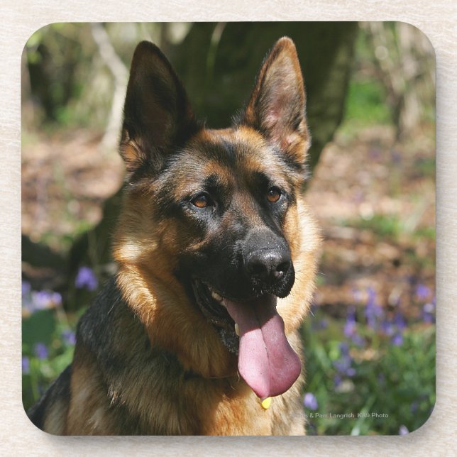 Porta-copo German shepherd (Frente)