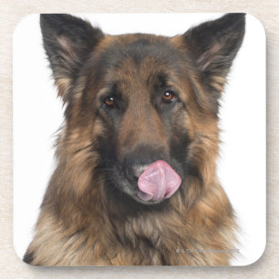 Porta-copo German shepherd