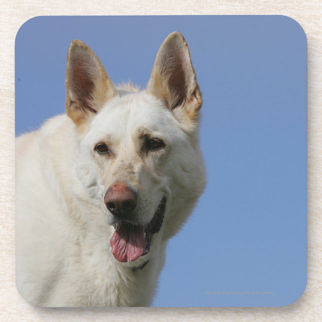 Porta-copo German shepherd branco (Frente)